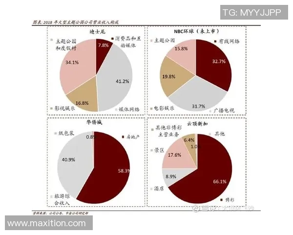 北京排球队在锦标赛中的团队协作表现分析与启示
