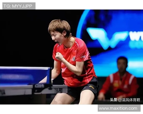 南京排球队战术分析与表现评估大满贯点评